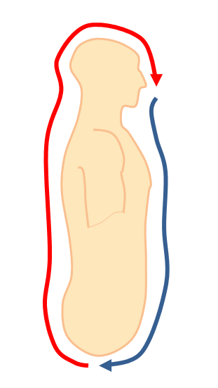 Microcosmic Orbit